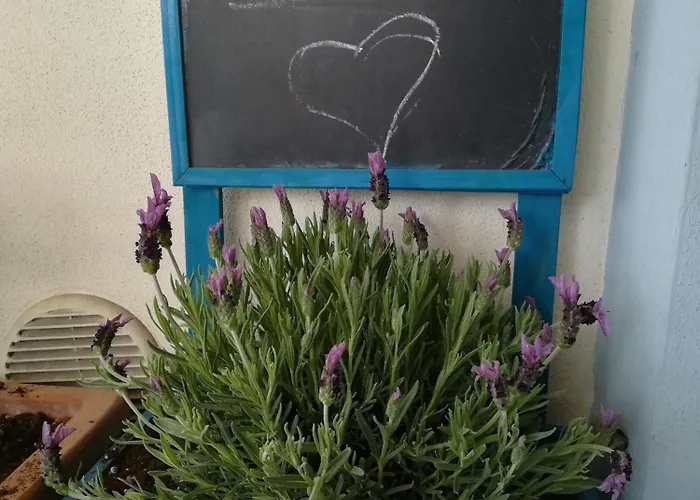 Apartman Stella Marina