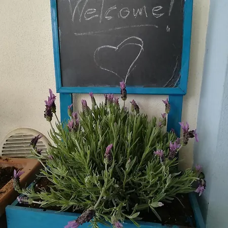 Apartament Stella Marina